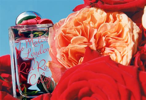 16 Best Rose Perfumes Luxurious Rose Fragrances For Women