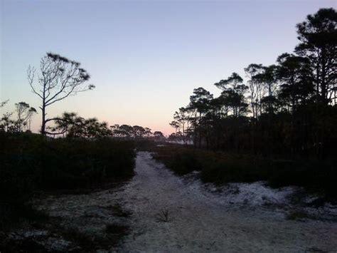 From us 65, take la 128 east to la 605 north, then to la 604. VEGETATION! - Picture of St. Joseph Peninsula State Park ...