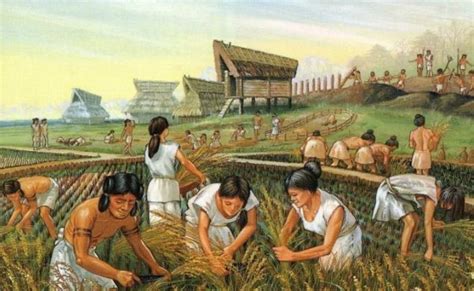 Las Culturas Prehispánicas Desarrollo De La Agricultura Y La