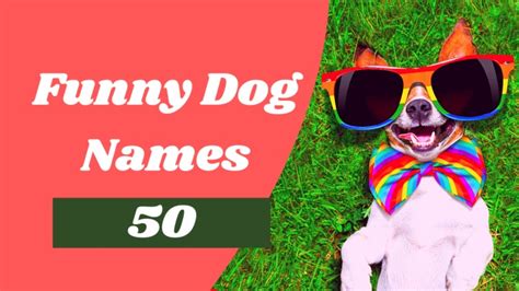Ppt 50 Top Funny Dog Names For Your New Pup Puppy Names 2021