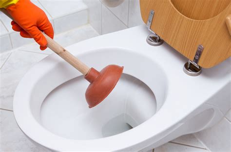 How To Unblock A Toilet Check Out This Diy Guide