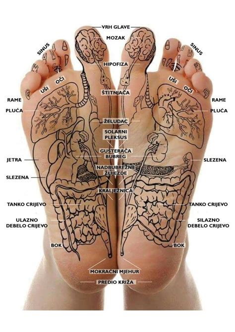 Reflexology Chart Reflexology Massage Foot Massage Acupressure