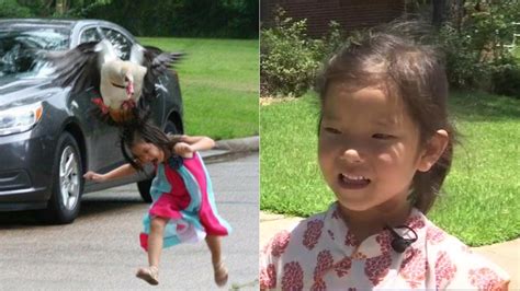 Goose Attack On 5 Year Old Houston Girl Goes Viral