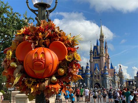 Photos Mickey Pumpkins Return And More Decor Arrives As Magic Kingdom