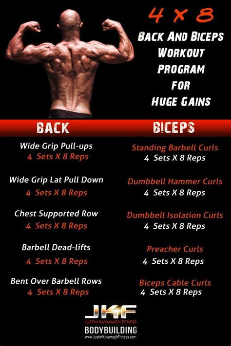 30 Minute Best Back And Bicep Workout At Home For Beginner Fitness