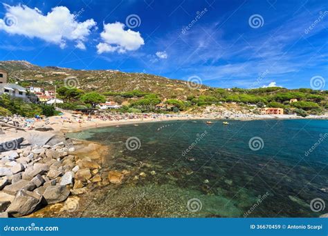 Ilha Da Ilha De Elba Praia Em Seccheto Imagem de Stock Editorial Imagem de feriado céu