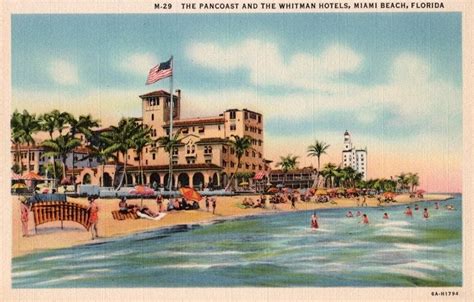 Vintage Florida Postcard Miami Beach Unused By Vintageplum