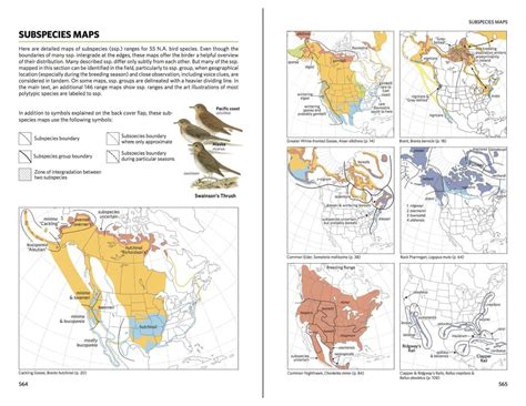 Buy National Geographic Field Guide To The Birds Of North America