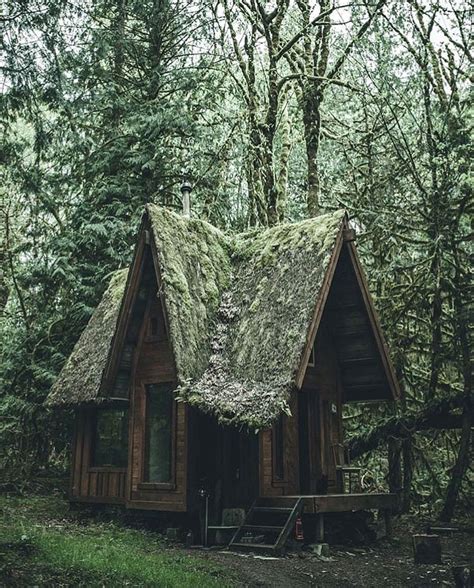 Photo By Jaysnipez Check His Feed Out For More Forest Cottage