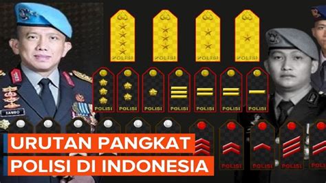 Urutan Pangkat Polisi Di Indonesia Kenali Tanda Kedudukan Dan