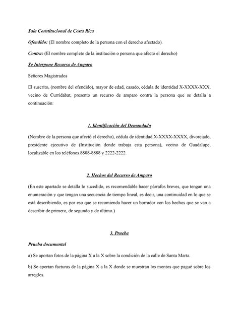 Plantilla Para Recurso De Amparo Sala Constitucional De Costa Rica