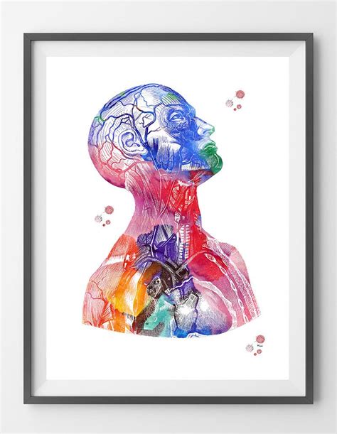 Head And Torso Watercolor Print Anatomy Art Poster Human Head Neck And