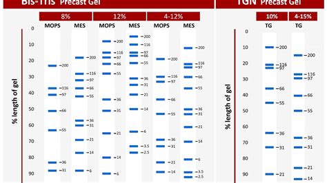 Find the tools from expasy which can be used to characterize protein, we need to know following information from protein sequence. Molecular-weight size marker Protein - Protein Choices