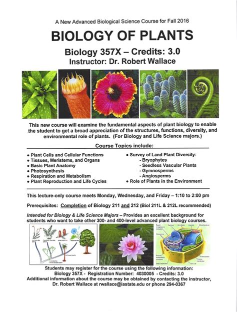 New Experimental Course Biology Of Plants Undergraduate Biology Program