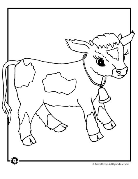 Cows Coloring Pages Coloring Home