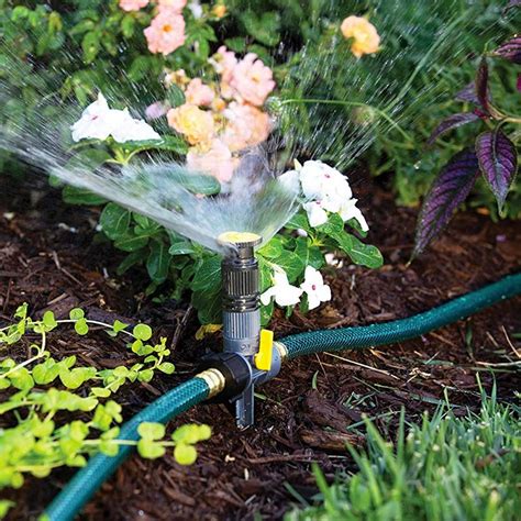 9 Smart Plant Watering System Ideas For Easier Gardening