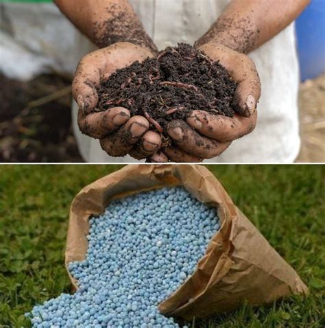 Difference Between Manure And Fertilizers A Full Guide Agri Farming