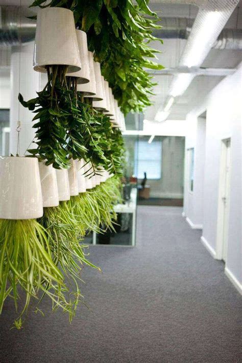 10 Amazing Benefits Of Eco Friendly Living Wall Partitions