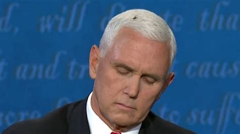 Mike Pence Fly Image Gallery List View Know Your Meme