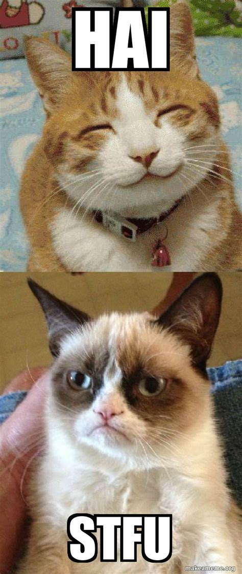 Hai Stfu Grumpy Cat Vs Happy Cat Meme Generator