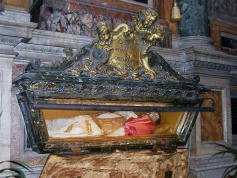 The Vatican Full Of Dead Popes Kept For Display News That Matters