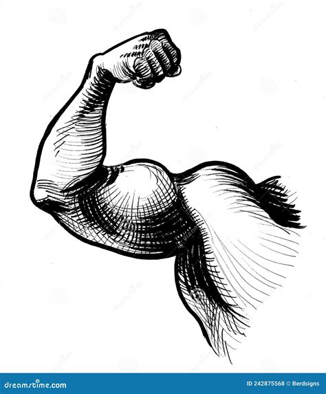 Strong Biceps Gym Vector Symbol Isolate Cartoon Illustration CartoonDealer Com