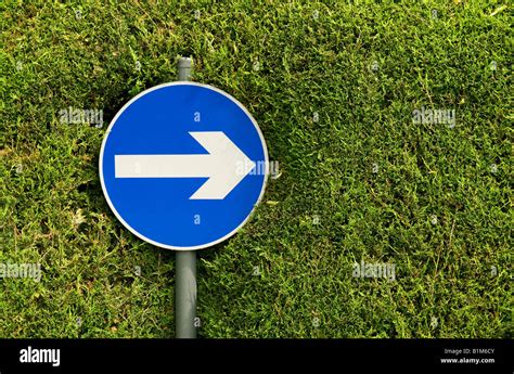 One Way Direction Sign In Clipped Hedge Stock Photo Alamy