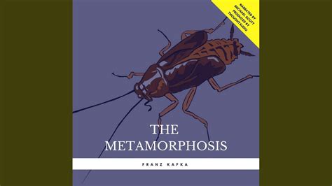 Chapter 22 The Metamorphosis Youtube