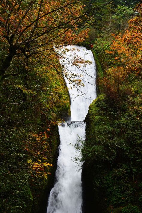 Columbia River Gorge Fall Foliage Drives Fall Foliage Travel Usa