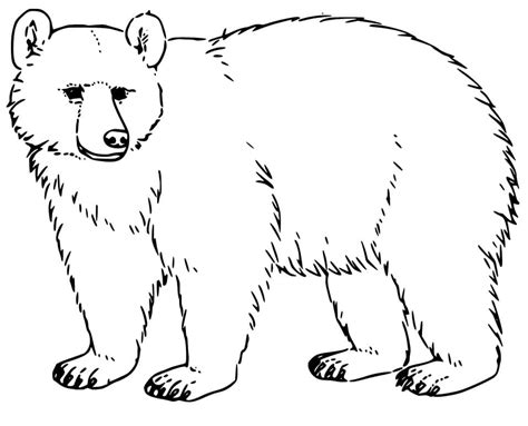 oso blanco y negro dibujos animados dibujados a mano png oso blanco y hot sex picture