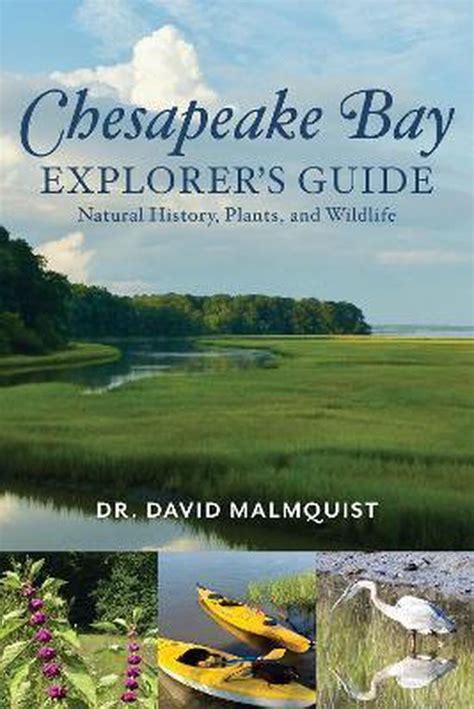 Chesapeake Bay Explorers Guide David Dr Malmquist 9781493051335