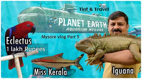 Mysore Vlog 5 Planet Earth Aquarium Krs Backwaters Venugopala