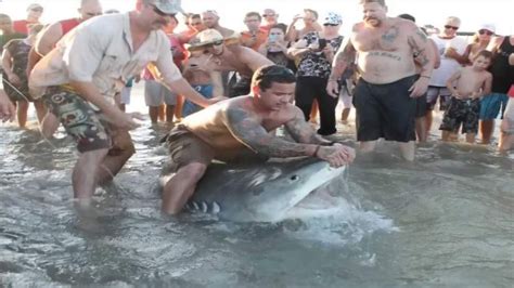 Massive Tiger Shark Caught On Texas Beach