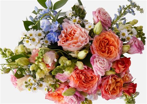 Inexpensive Flower Delivery Nyc Best Flower Site