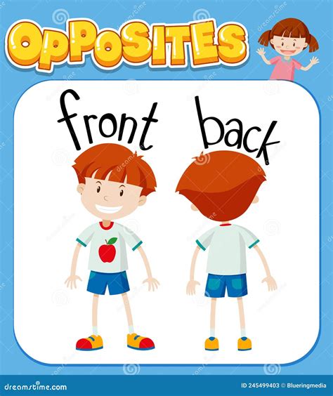 Opposite Words For Front And Back Stock Vector Illustration Of Poster