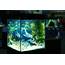 MarineLand Contour Glass Aquarium Kit Review  Marine Life Tank
