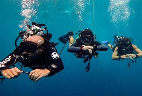 Buoyancy Course Is The Most Important Skill You Can Master Roctopus Dive