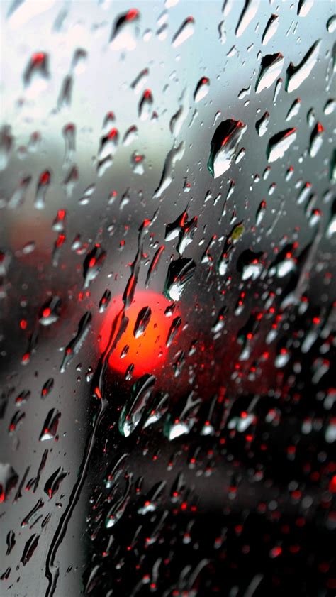 Fresh Rain Drops Iphone Wallpapers Free Download