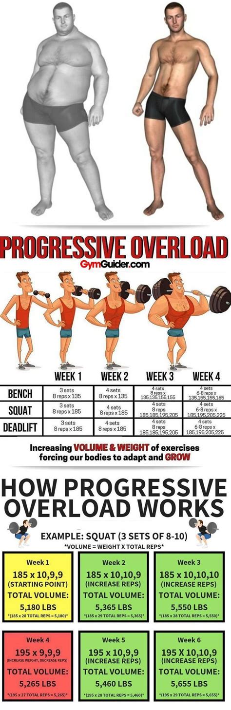 How Progressive Overload Works While Progressive Overload Can Work In A