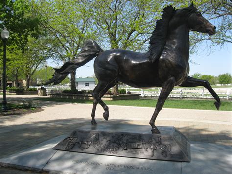 Love This The Morgan Horse Statue In Lexington Kentucky Hose Park
