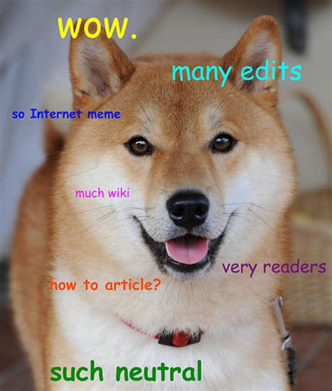 Wikipedia Doge Doge Know Your Meme
