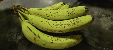 These Bananas Are Still Green Yet They Are Developing Spots That Show