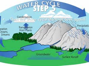 Summarize The Steps Of The Water Cycle Colourmilo