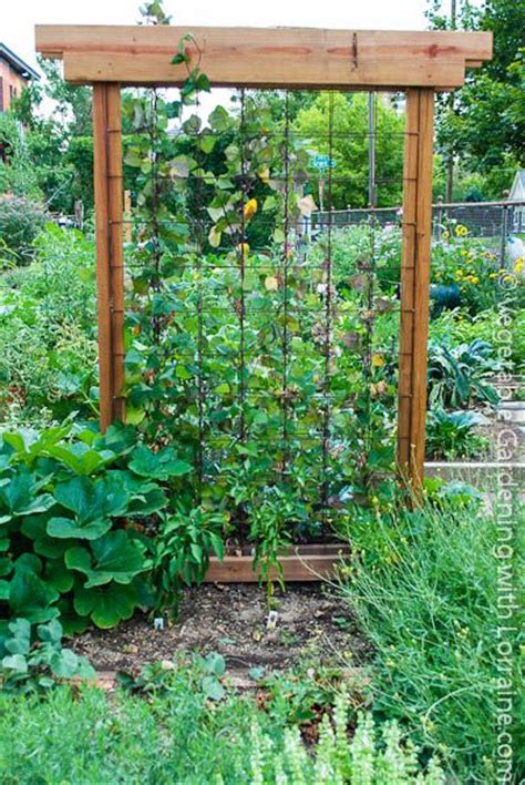 Best 179 Vertical Gardening Images On Pinterest