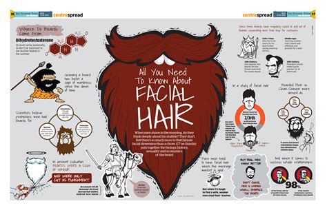 All You Need To Know About Facial Hair Infographic Facts