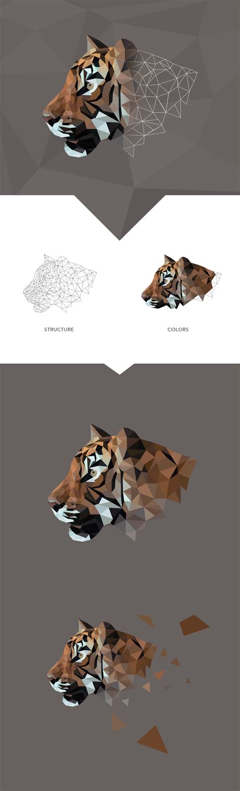 Low Poly Illustration Tiger On Behance