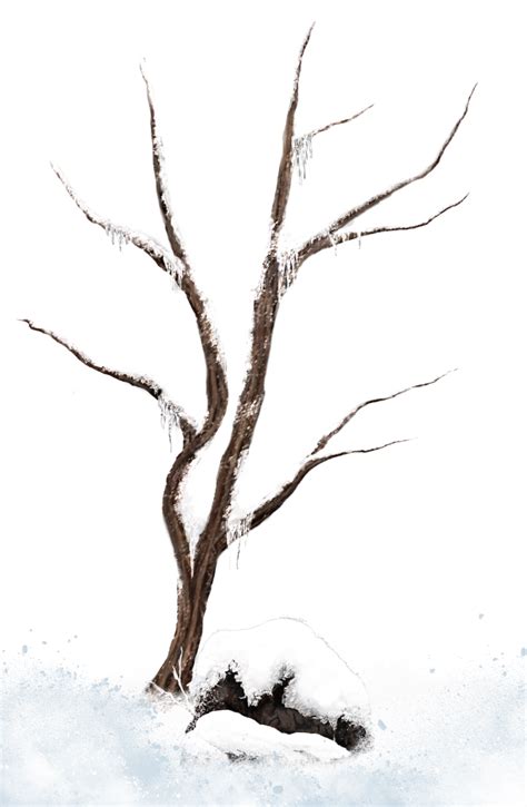 Free Winter Branch Cliparts Download Free Winter Branch Cliparts Png