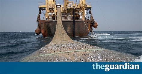 We did not find results for: Apa saja yang termasuk jenis Penangkapan Ikan Destruktif ...