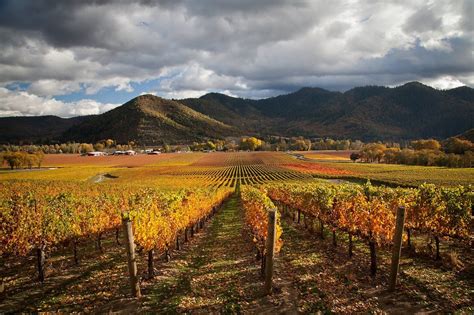 5 Must See Vineyards Around Oregons Rogue Valley Oregon Wineries