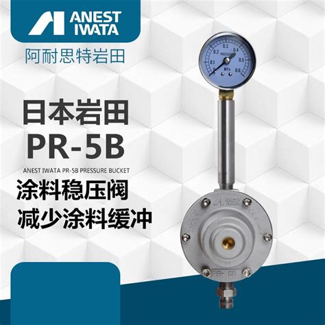 Anest Iwata Paint Regulator Pr 5b Regulator Pr B5b Imported From Japan